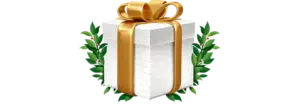 pinup_gift_box-300x112-1.webp